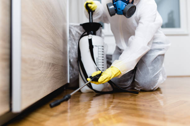 Best Commercial Pest Control Services  in Bessemer City, NC