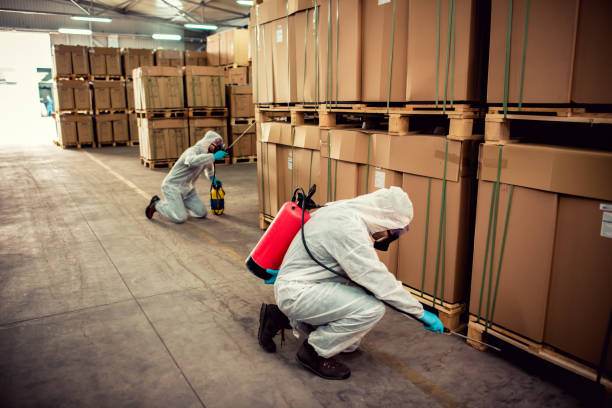 Best Wildlife Control Services  in Bessemer City, NC