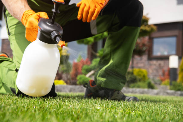 Best Best Pest Control Companies  in Bessemer City, NC