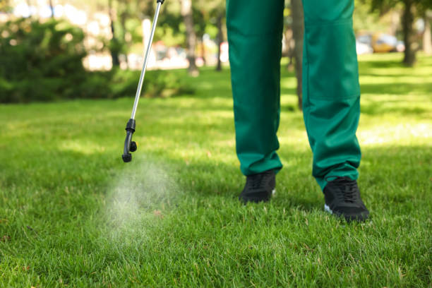 Best Wasp Removal Services  in Bessemer City, NC
