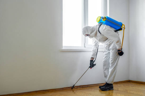 Reliable Bessemer City, NC Pest Control Solutions