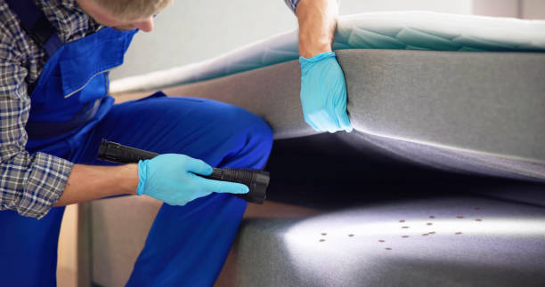 Best Residential Pest Control  in Bessemer City, NC