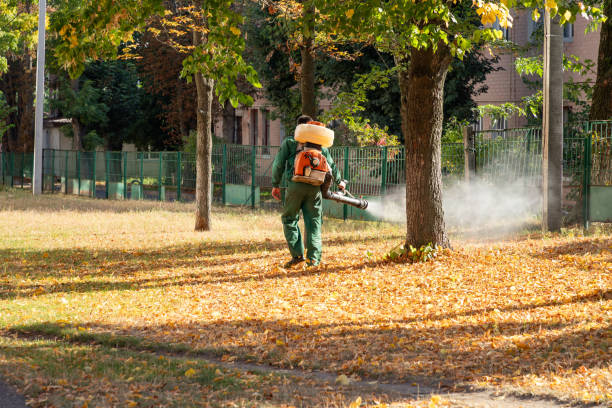 Best Affordable Pest Control Services  in Bessemer City, NC