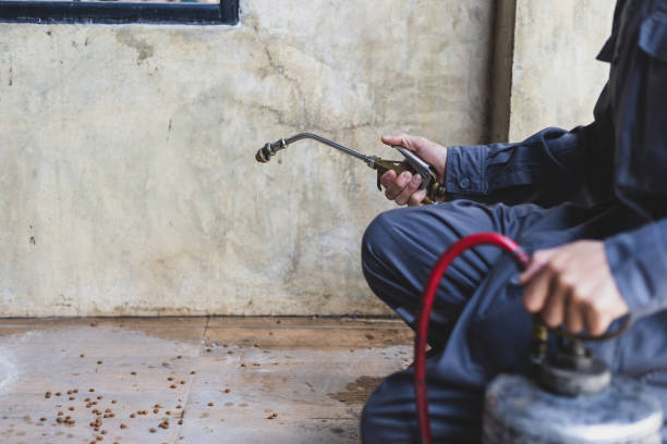 Pest Control for Restaurants in Bessemer City, NC